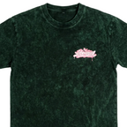 Urban Rebellion (Wash Style)